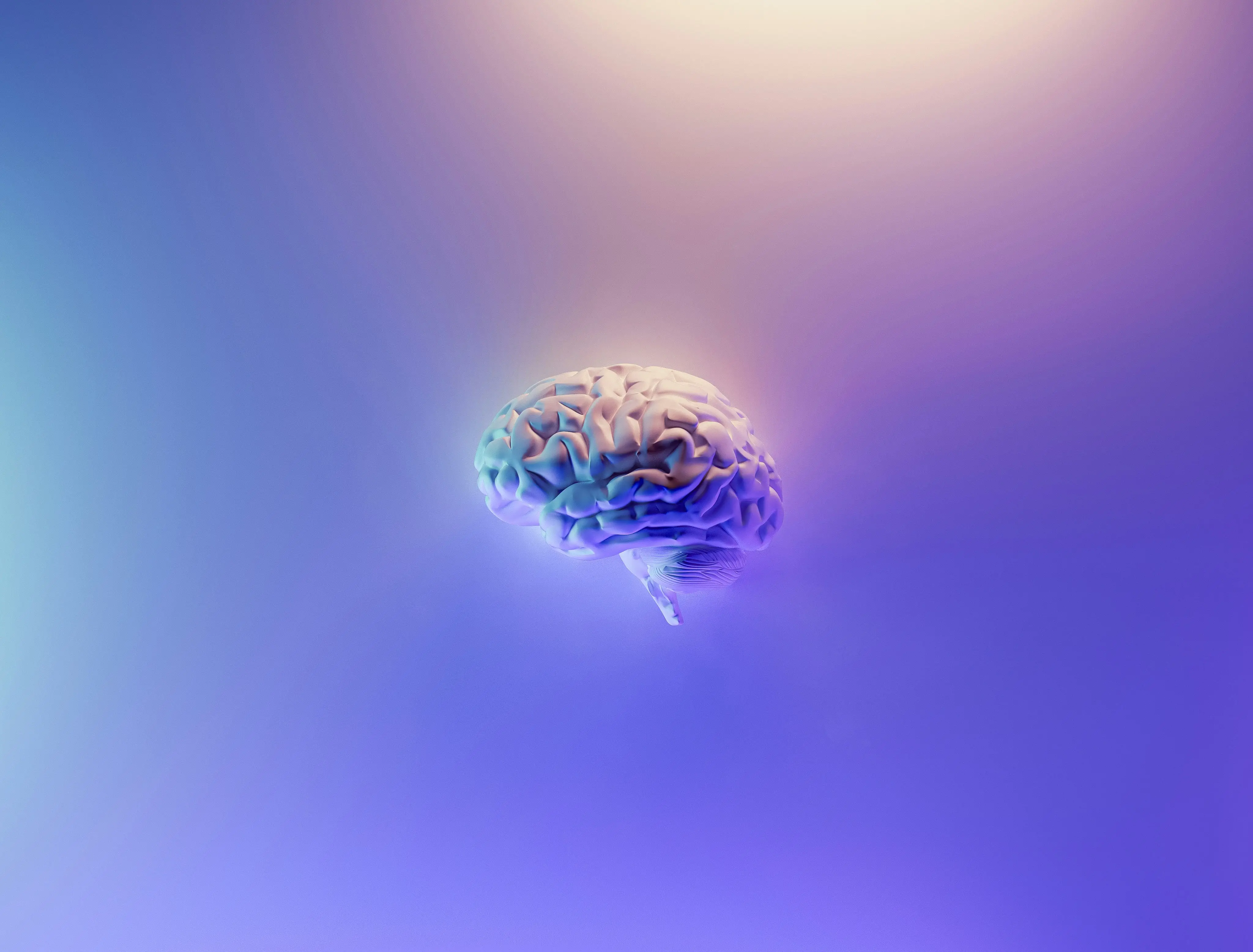 Cerebro humano estilizado
